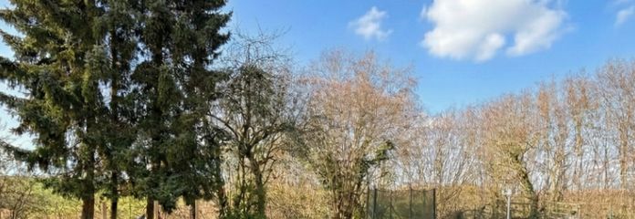 Freistehendes Einfamilienhaus im Bungalowstil