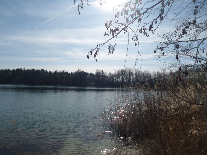 Rückersdorfer See I