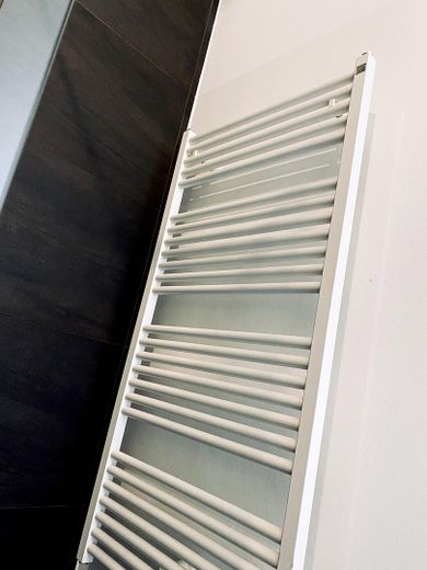 Townhouse-Wohnung Neckarstadt-Ost / Terrasse und Gartennutzung / 2 Balkone / Perfekt für Familien – Handtuchheizkörper Bad