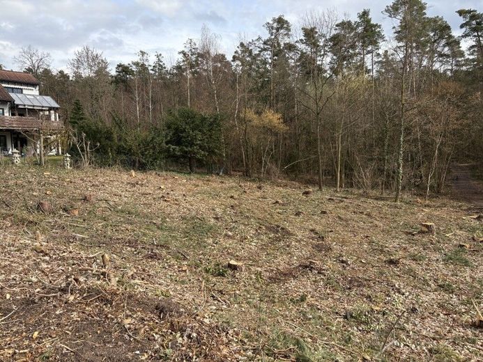 Röttenbach bei Heßdorf sehr schönes Baugrundstück mit ruhiger Waldrandlage – Baugrundstück Röttenbach 011