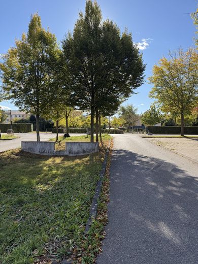 Sonne bis zum Abend! 5 Zimmer -Traum mit Dachterrasse & Garten am Buga-Park – Blick Umgebung