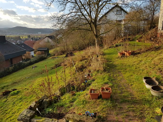Großer Naturgarten