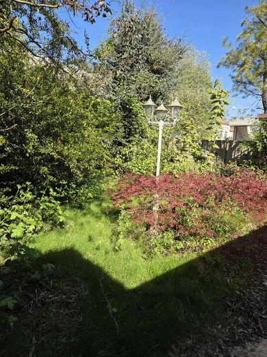 Charmanter Bungalow mit Wintergarten - Verkauf nach Wohnbauflächenvermarktungsrichtlinie – Foto 4