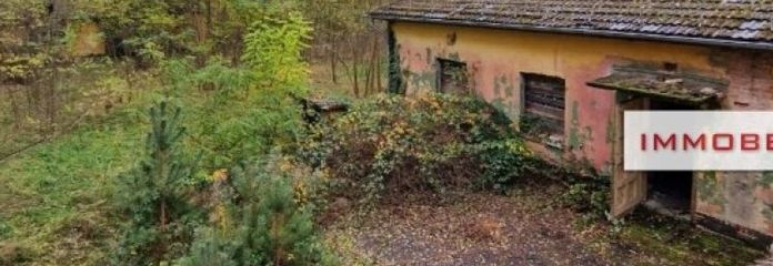 IMMOBERLIN.DE - Sehr großes Entwicklungspotenzial! Charaktervolle Immobilie in naturverbundener Lage