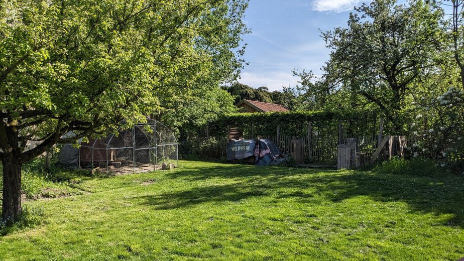 Freistehendes EFH mit Einliegerwohnung, Doppelgarage & großem Grundstück – Garten_2