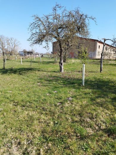 Casa colonica alla periferia del paese – Foto 2