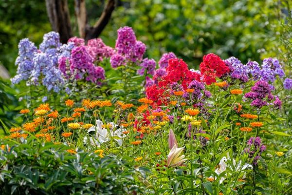 Fröndenberg/Ruhr: ¡Sin terreno edificable - Superficie útil pura para usted o sus animales!