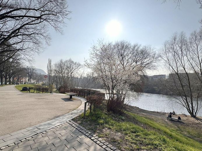 Charmante 2-Zimmer Dachgeschosswohnung in Jena-Wenigenjena – Saale-Ufer