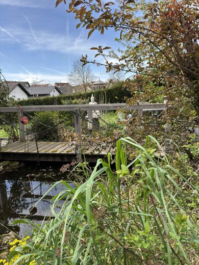 Hinterer Garten.