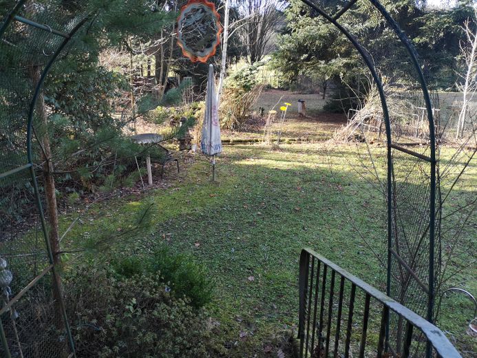Abkühlung im Grünen: Traumhaftes Waldgrundstück & Wohlfühloase (Wochenendhaus/Freizeitgrundstück) – Foto 4