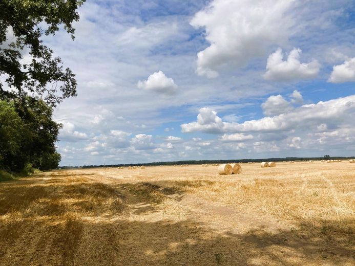 Naturnah + gute Infrastruktur