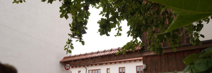 2-Zimmer Wohnung - Leben auf dem Gütlbauerhof – Ansicht Hofeinfahrt