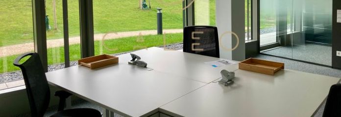 CALEO ¦ Gonzenheim ¦ flexibel + sofort bezugsfertig ¦ all inclusive ¦ PROVISIONSFREI