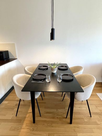 Möblierte 2-Zimmer-Wohnung in erster Reihe zum Main – Essbereich