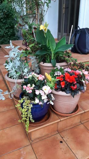 08 Blumen auf der Treppe