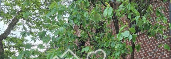 Eigentumswohnung Ober- u Dachgeschoss als Ausbaureserve