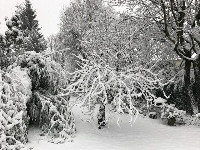 Ruheoase in zentraler Lage in Marl - ein Haus, unzählige Möglichkeiten – Winterimpression