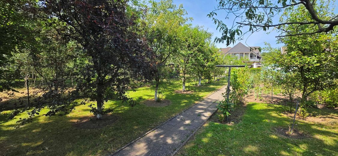 RESERVIERT! - Provisionsfrei: Gepflegtes Zweifamilienhaus mit Gartenparadies in Top-Lage (Köln/Bonn) – Foto 21