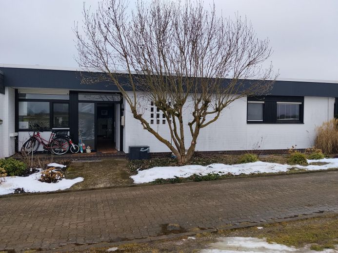 Hausansicht vorne - Vorgarten