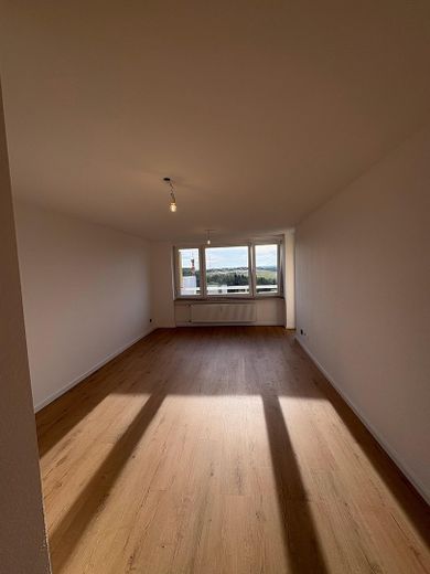 Première occupation après rénovation complète : appartement lumineux de 3,5 pièces avec 2 balcons, cuisine équipée et garage en sous-sol – Wohnzimmer