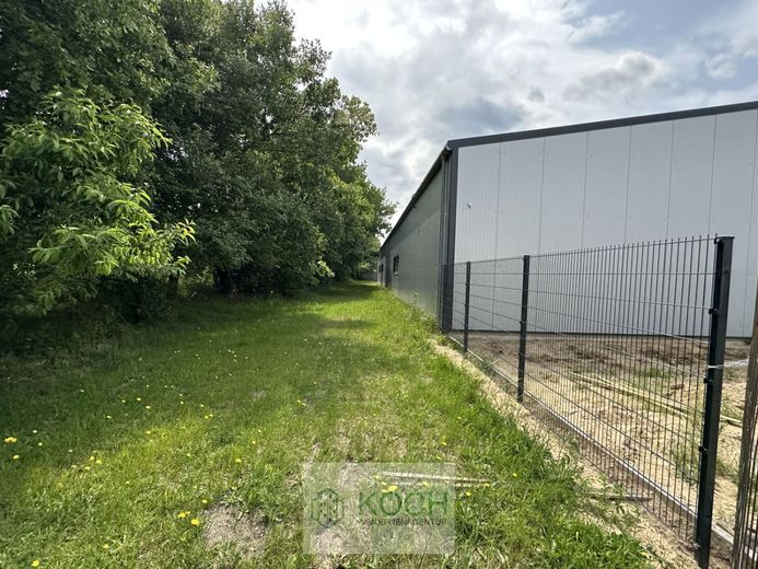 Moderne, beheizbare Halle für Produktion/Lage im Gewerbegebiet Loxstedt – Hallenansicht_4