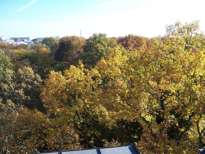 Blick aus dem Fenster