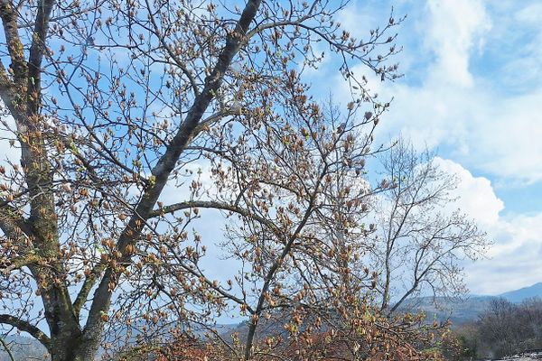 Komisyonsuz. Doğrudan mal sahibinden, St. Georgen-Freiburg: Yüksek kaliteli, 3 odalı çatı katı dairesi