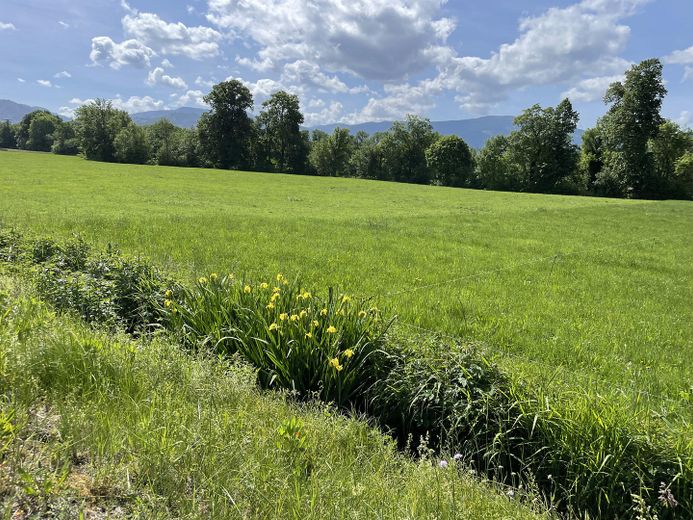 Güzel Dreisamtal’da, Freiburg’a yakın doğayla iç içe yaşayın – Dreisamtal
