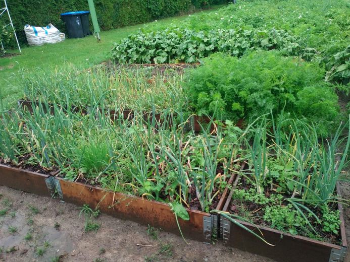 Garten und Hochbeete 