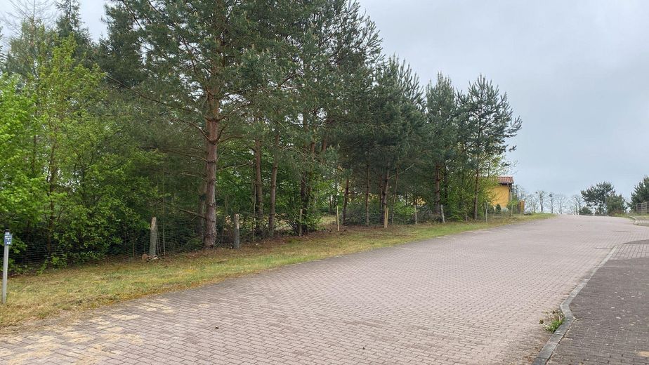 1.254 m² Baugrundstück nahe Stechlinsee – teilbar , ruhige Lage (provisionsfrei) – Foto 9