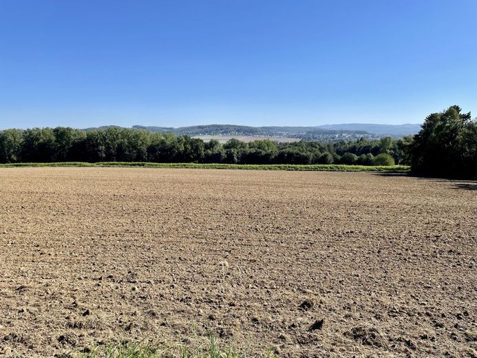 Fröndenberg/Ruhr: Eines der schönsten Grundstücke der Stadt! – Baugrundstück Fröndenberg - Unverbaubare Aussicht