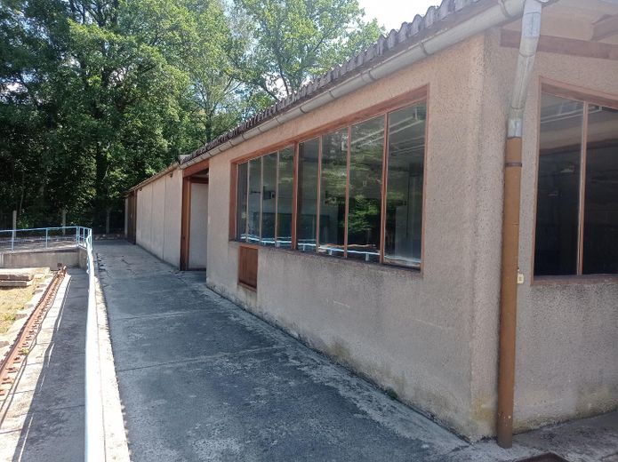 Waren-Umschlagplatz/Lager/Depot/Halle-Grd.9.536m²/ Nutzf.3.145m²-Dreiländereck DE/PL/CZ-Lkr. Görlitz – Foto 26