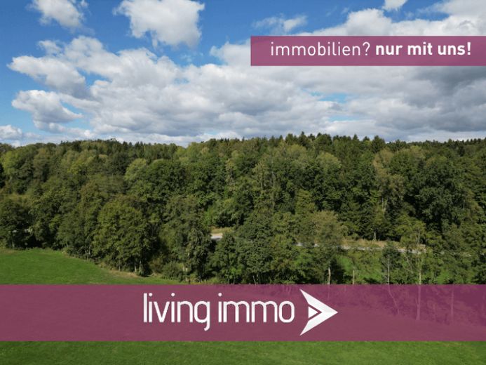 Waldgrundstück in naturnaher Lage – ca. 10.470 m² Mischwald – Foto 1
