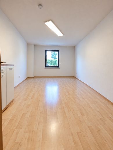 Luminoso y cuidado piso de 2 habitaciones con cocina y baño – Foto 3