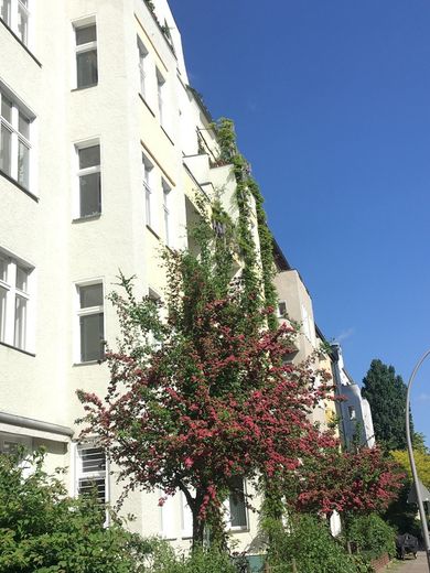 TRAUMLAGE Großzügige 6-Zi-Altbauwohnung (ca. 200 m²) im Herzen des geschichtsträchtigen Bayerischen Viertels von privat – Foto 1