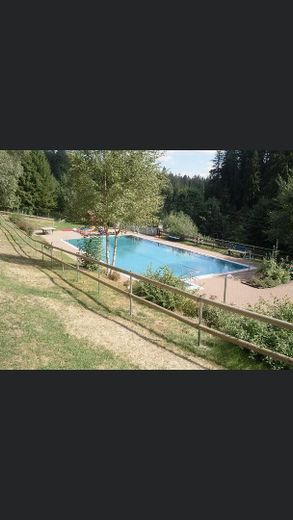 Proyecto idéntico a Mummelsee, souvenirs, salón de masajes, restaurante – Foto 5