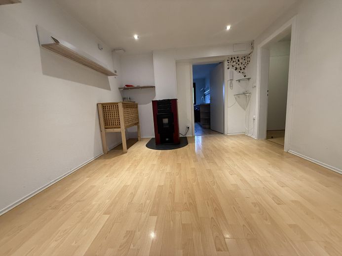 Pellettofen Wohn-Esszimmer OG 