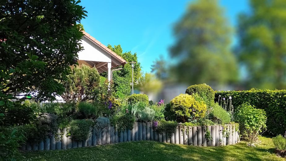 Im vorderen Garten