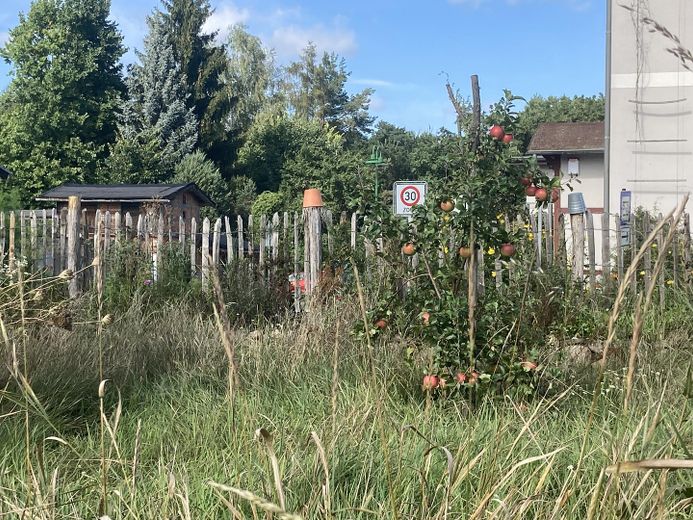 Biesenthal: 1.646 m² erschlossen, Altbau, PV-Anlage, 40 Min nach Berlin – Staketenzaun auf Steinwall