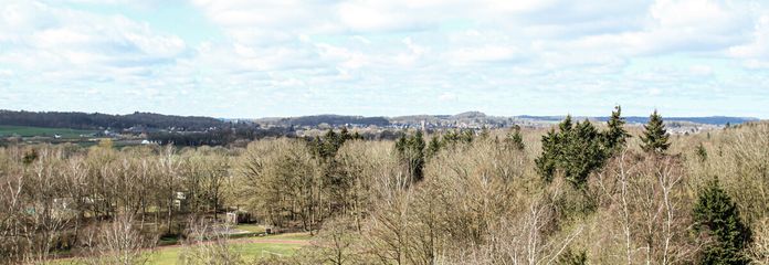 Der Ausblick