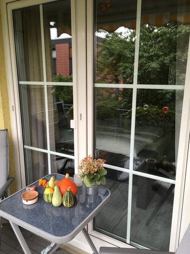 Doppelflügel- Fenster zum SZ