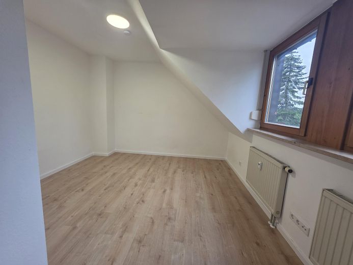 Beautiful 1-room apartment in Fürth-Dambach – vacant & immediately available – Wohn- und Schlafzimmer