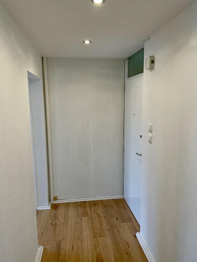 Renovierte 2,5-Raum-Penthouse-Wohnung mit Balkon in Kaiserslautern – Diele