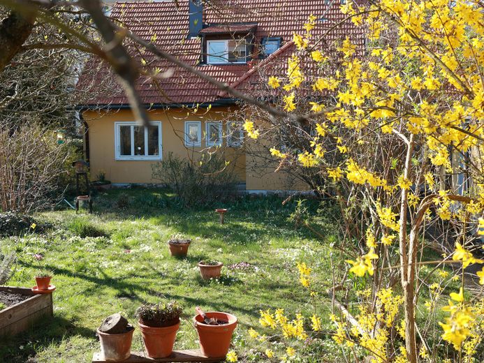 ruhiger Garten