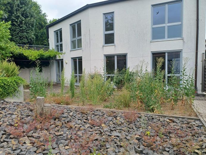 Garten u. Terrasse