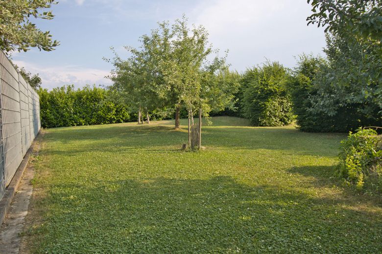 Obstgarten