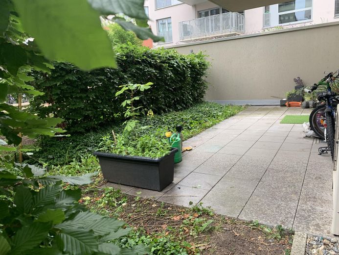3(4 Zi) EGW Direkt neben Donau/Münsterblick in Neu-Ulm – Garten Eigene