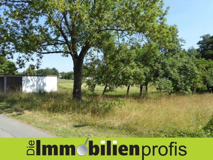 Nur 24 Euro/ m² ? Grundstück mit 2 Garagen Nähe Regnitzlosau – Foto 1