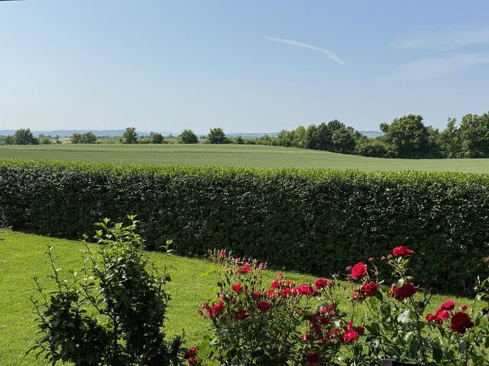 reserviert - Freistehendes Einfamilienhaus in Bestlage von Hbg-Kayh – Feldrandlage, A+, Wärmepumpe – Südgarten mit Feldblick