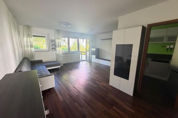 Senza provvigione! Attraente appartamento ristrutturato di 2,5 locali, completamente arredato, con balcone e cucina componibile